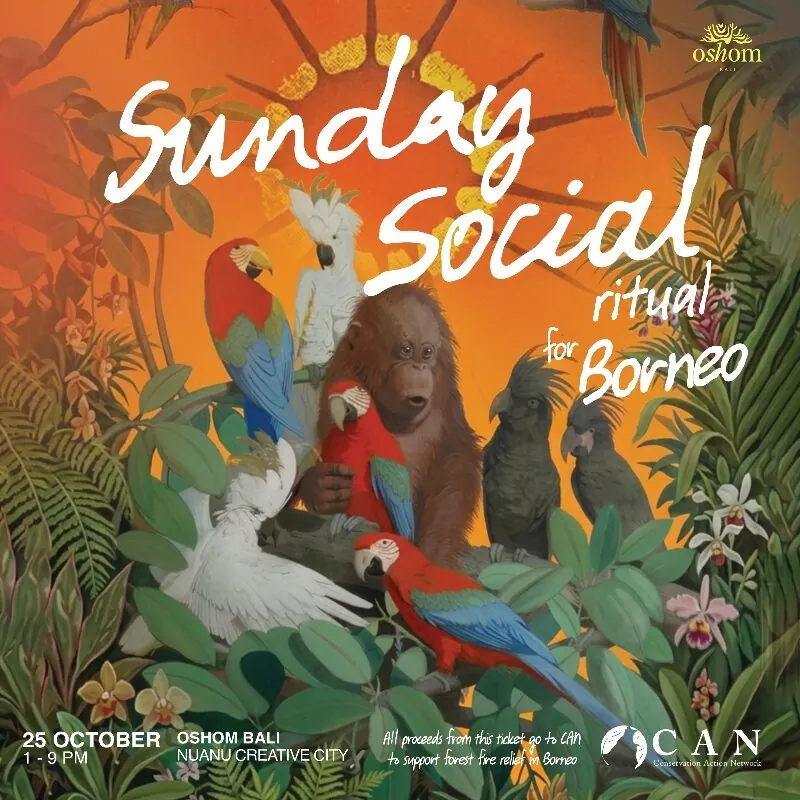 SUNday Social Ritual for Borneo Forest Fire Relief — афиша
