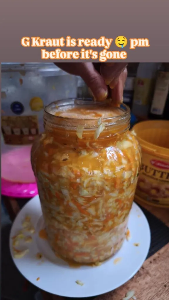 Fermentation Workshop & Microbiome Lecture w/ Bali Wild Chef — афиша