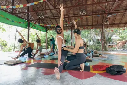Sivananda Yoga w/ Lita — афиша