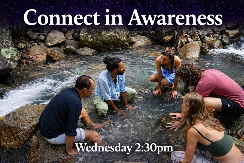 Connect in Awareness: Movement, Meditation, Connection w/ Nishan — афиша
