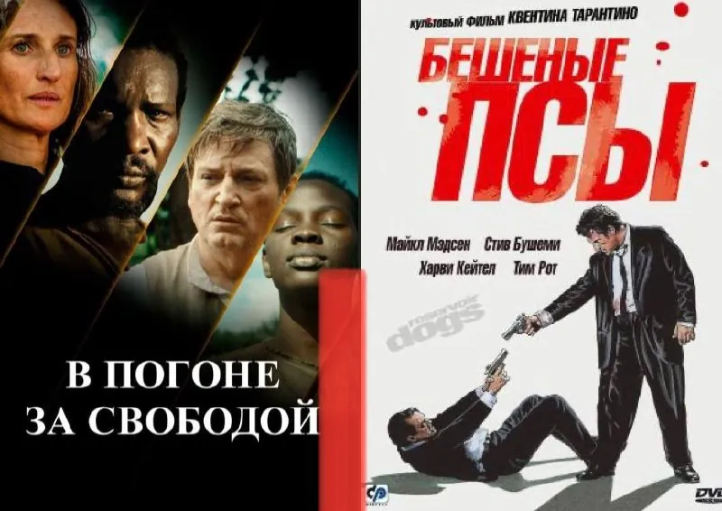Локация — кинопоказы «В погоне за свободой» и «Бешеные псы» — афиша