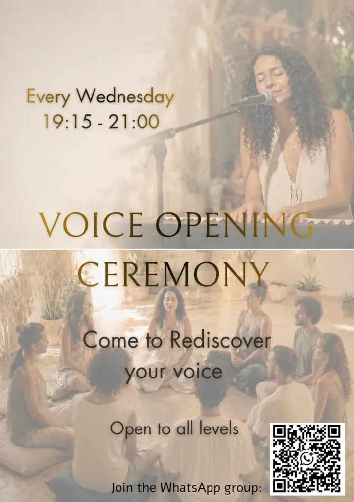 Voice Opening Ceremony w/ Noa Tamari — афиша