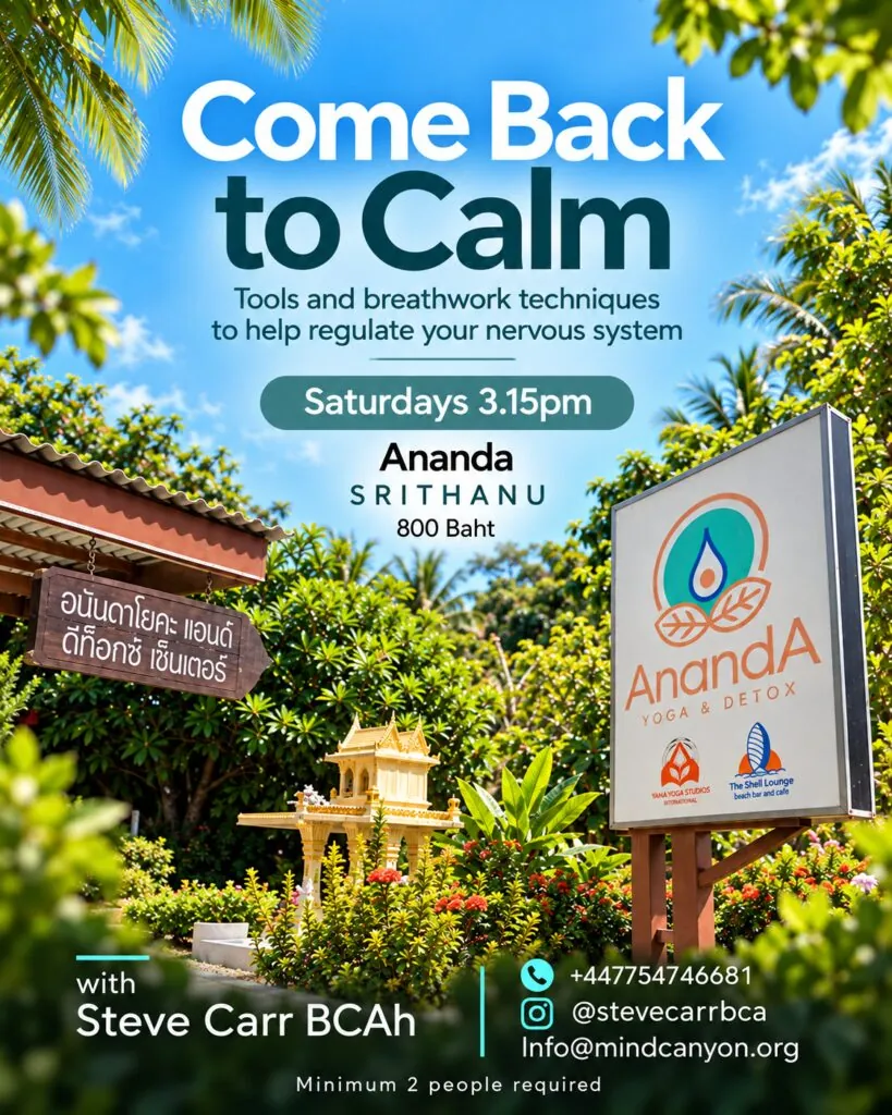 Come Back to Calm w/ Steve Carr — афиша