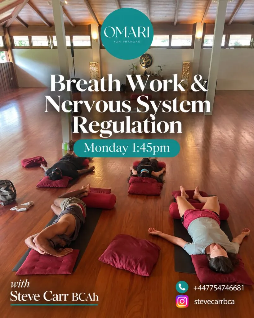 Breathwork for Nervous System Regulation w/ Steve Carr — афиша