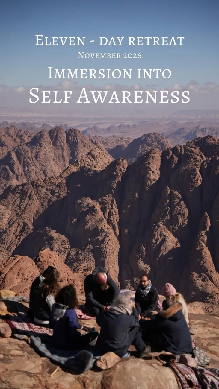 Immersion into Self Awareness — афиша