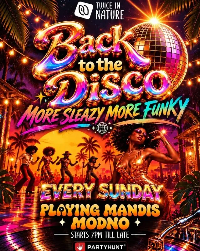 Возвращение к Disco — афиша