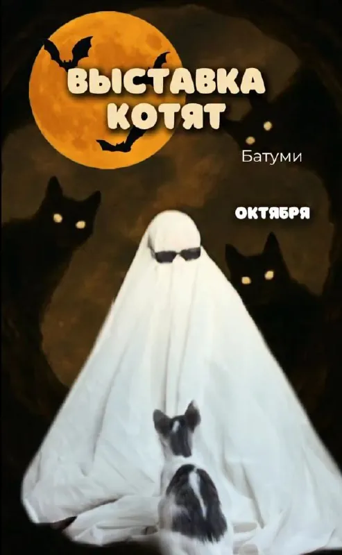 Хэллоуинская выставка котят — афиша