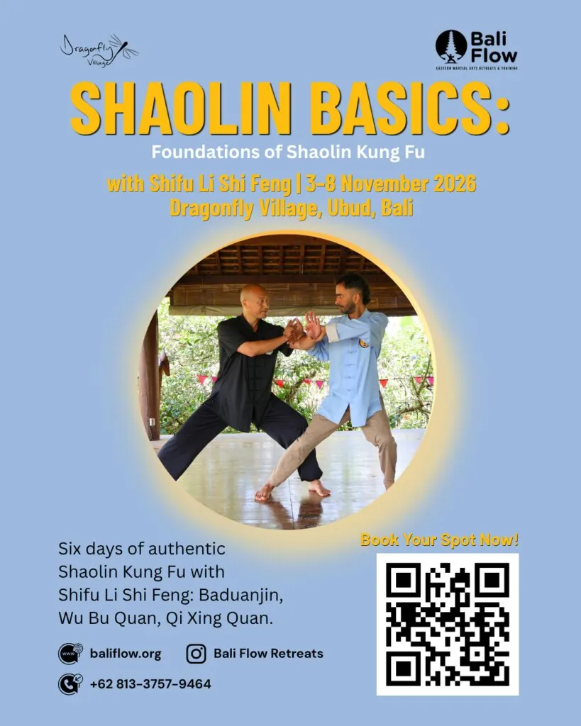 Shaolin Basics: Foundations of Shaolin Kung Fu — афиша
