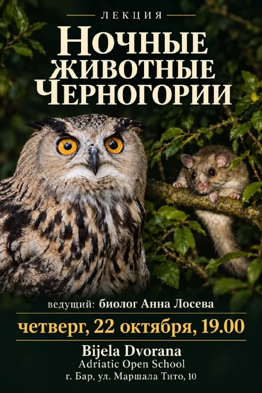 Лекция «Ночные животные Черногории» — афиша