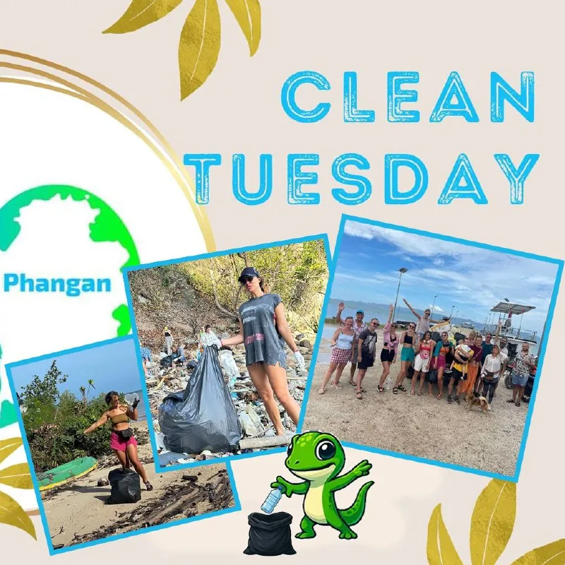Clean Phangan — афиша
