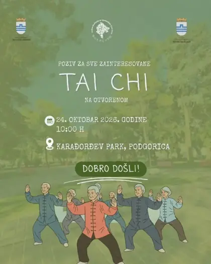 Тайцзи (Tai Chi) — афиша