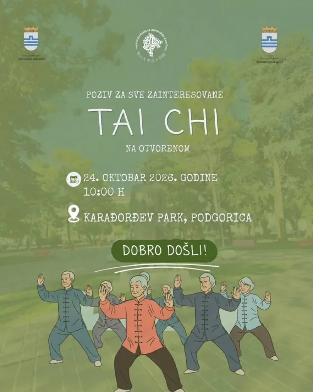 Тайцзи (Tai Chi) — афиша