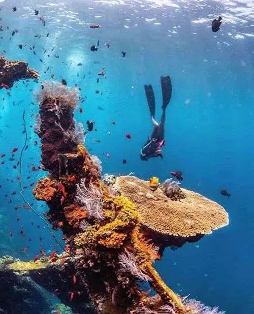 Tulamben Ocean Harmony Festival 2026 — афиша