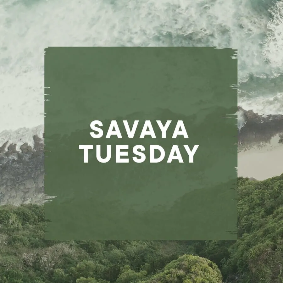 SAVAYA TUESDAY — афиша