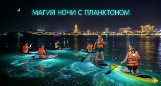 Магия ночи с светящимся планктоном — афиша