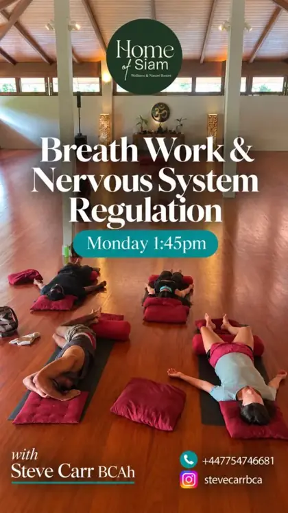 Breathwork for Nervous System Regulation w/ Steve Carr — афиша