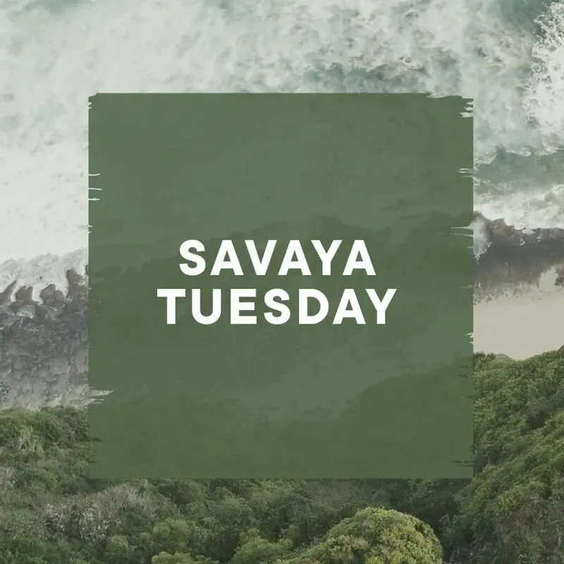 Savaya Tuesday — афиша