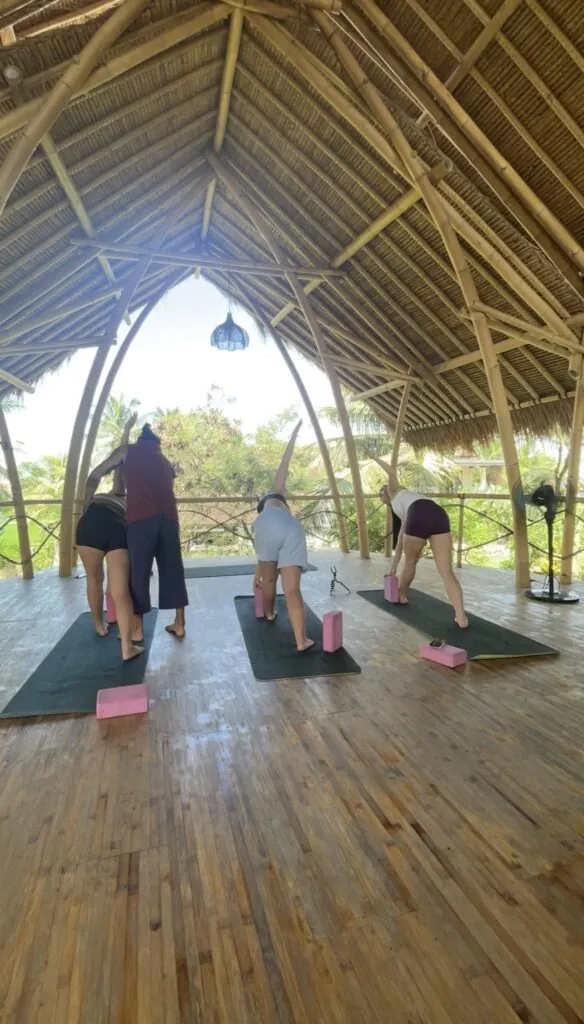 Hatha Yoga w/ Rodrigo — афиша
