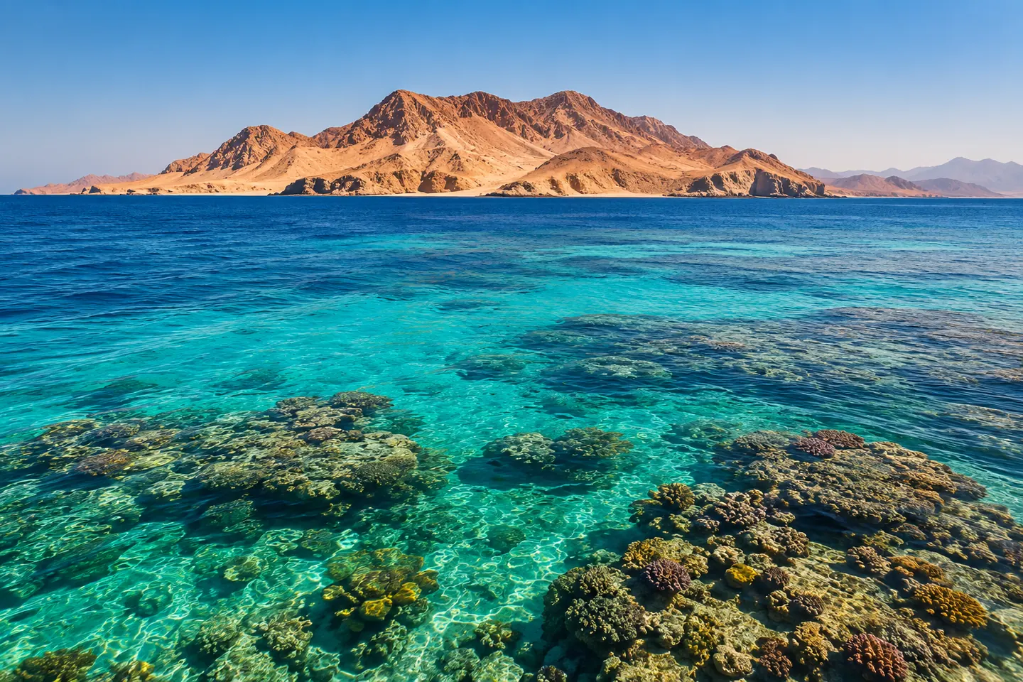 Сколько стоит морская экскурсия к острову Тиран из Шарм-эль-Шейха